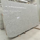 White Galaxy Slab